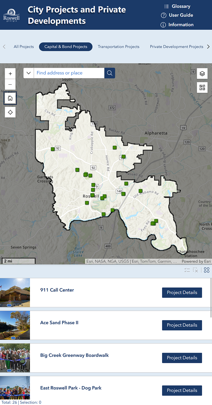 Capital and bond Dashboard Preview